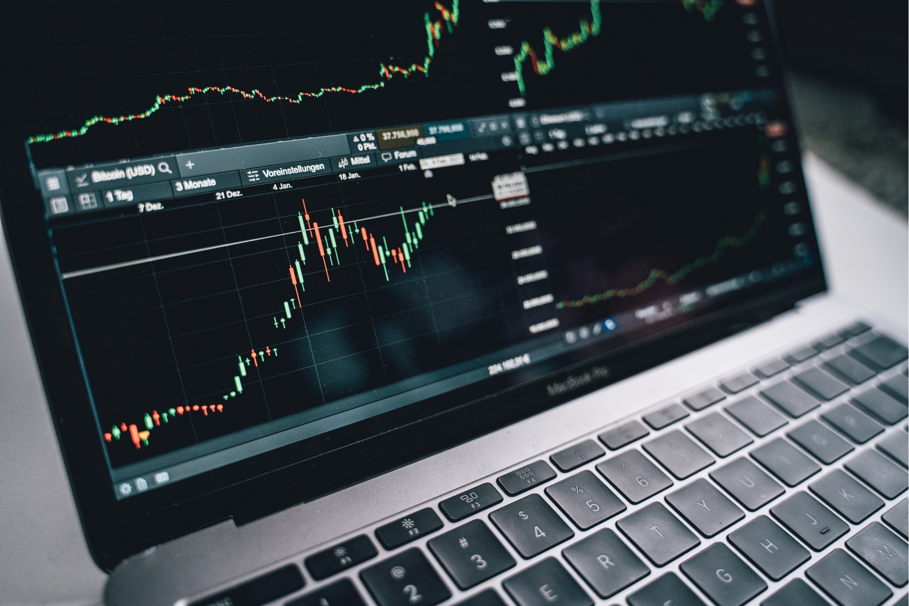 Stock market Roxanne Arnal article image