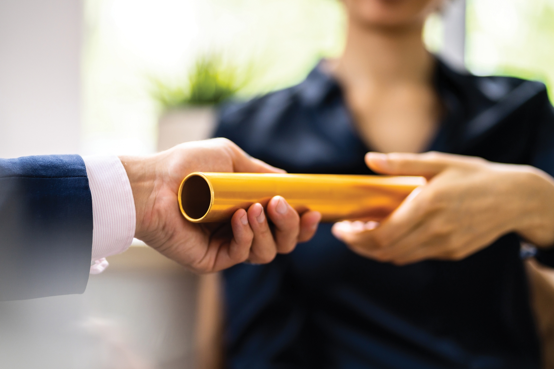 Succession Planning by Diana Monea